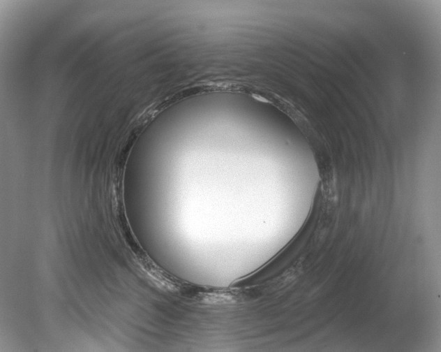 X0000080150572200612081055
