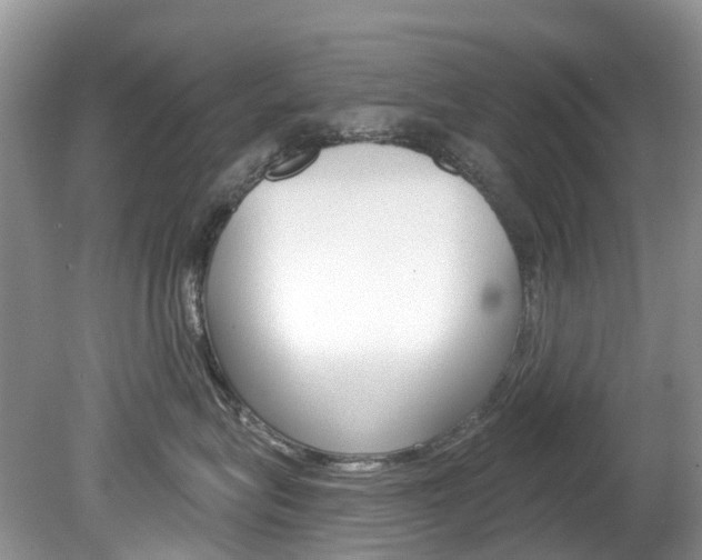 X0000080150575200612081055