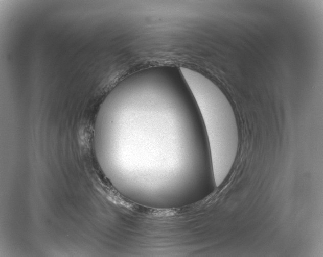 X0000080150576200612081055