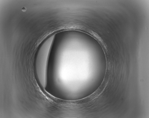 X0000080150577200612081055