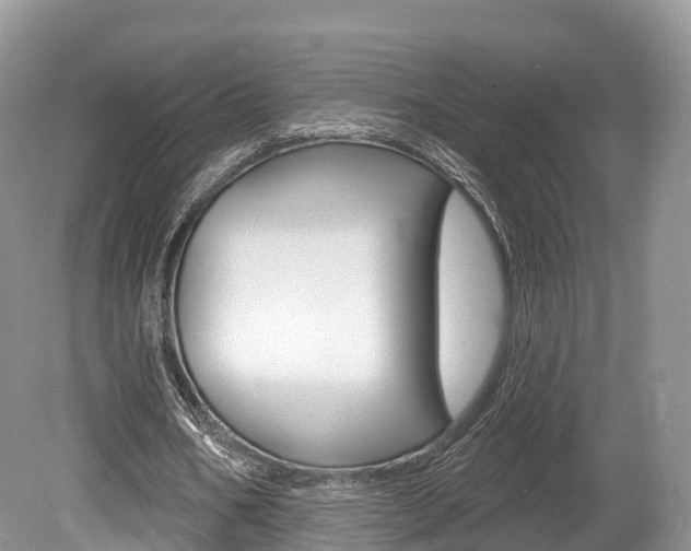 X0000080150578200612081055