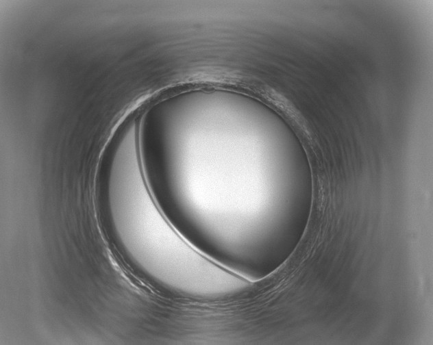 X0000080150580200612081055