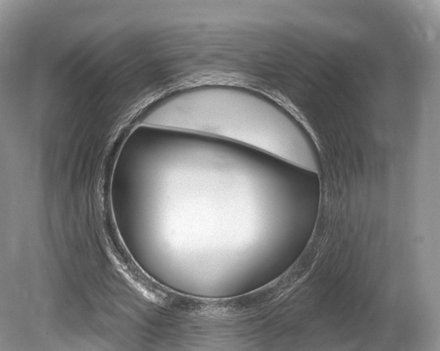 X0000080150581200612081054
