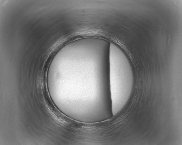 X0000080150582200612081054