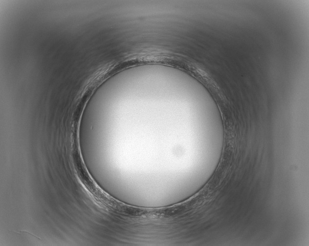 X0000080150586200612081054