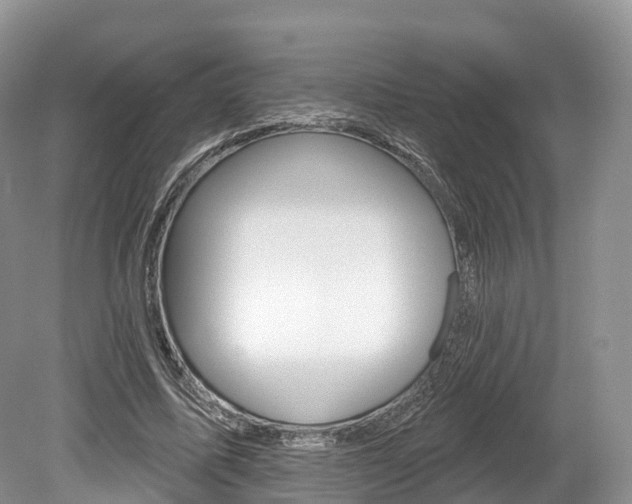 X0000080150587200612081054