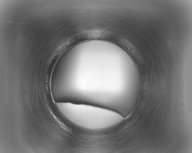 X0000080150590200612081054