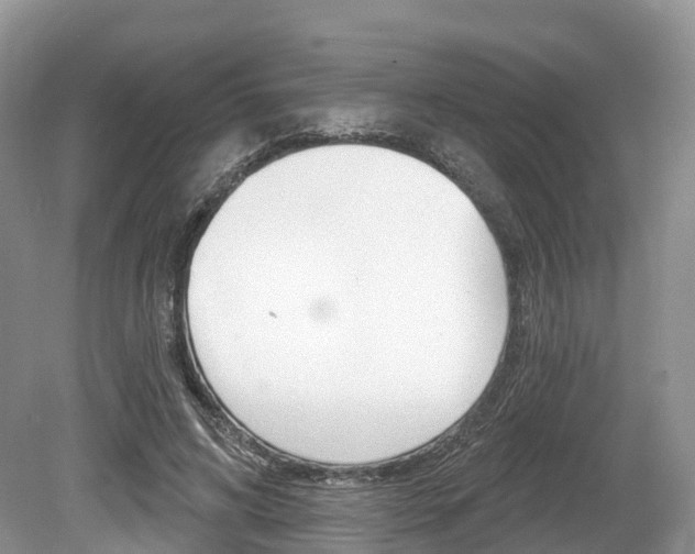 X0000080150592200612081054