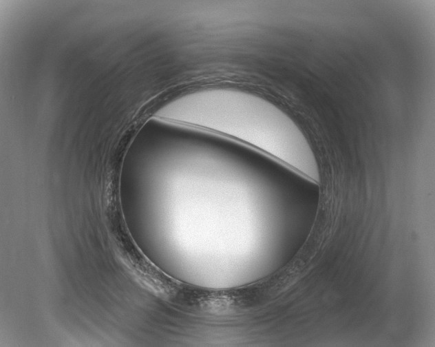 X0000080150600200612081054