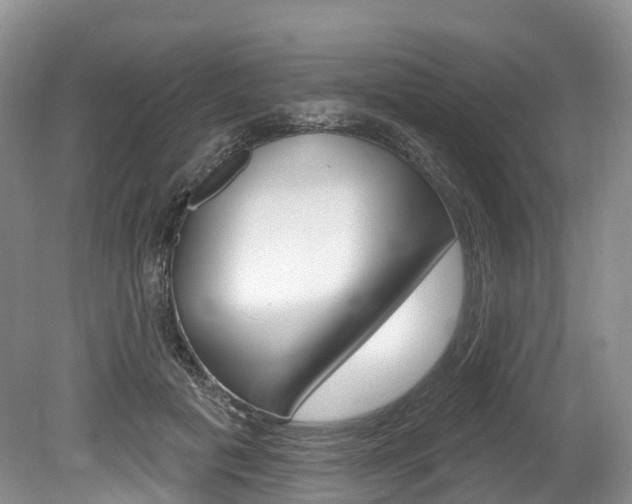 X0000080150601200612081054