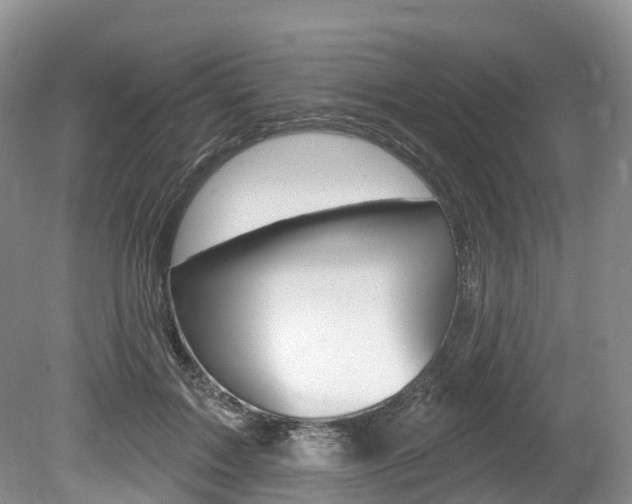 X0000080150603200612081054