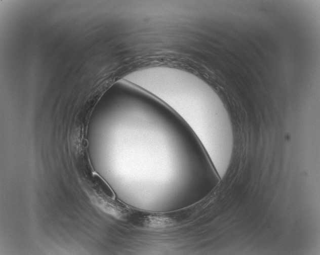 X0000080150605200612081054