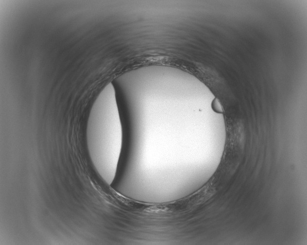 X0000080150606200612081054