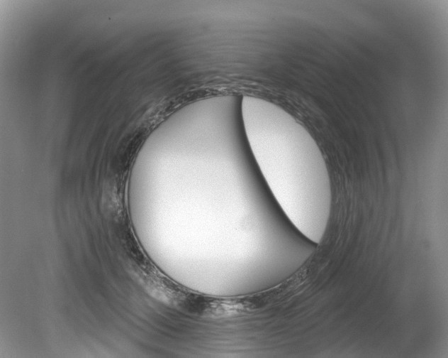 X0000080150607200612081054