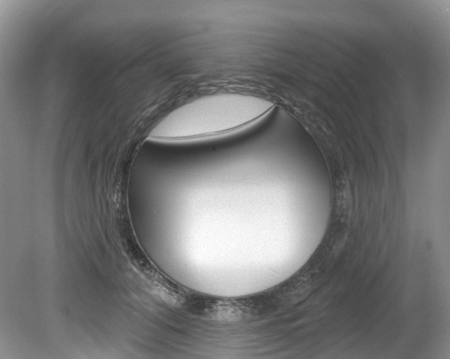 X0000080150608200612081054
