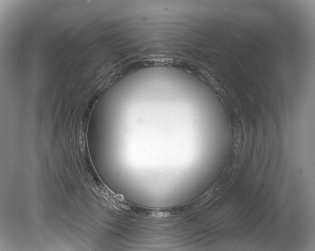 X0000080150609200612081054