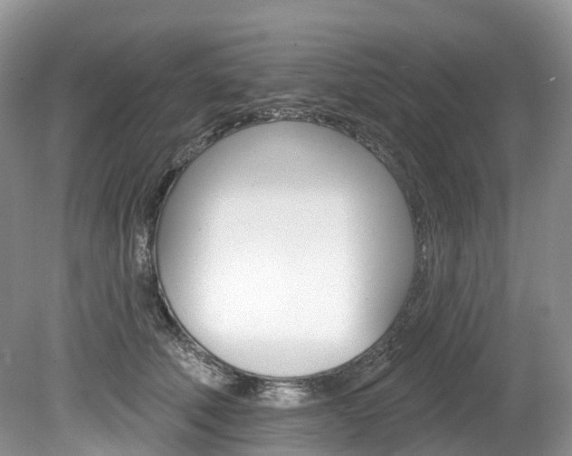 X0000080150610200612081054
