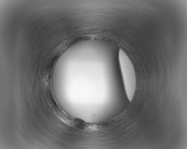 X0000080150611200612081054