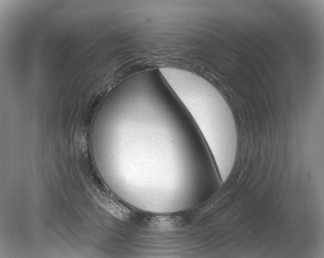 X0000080150613200612081054