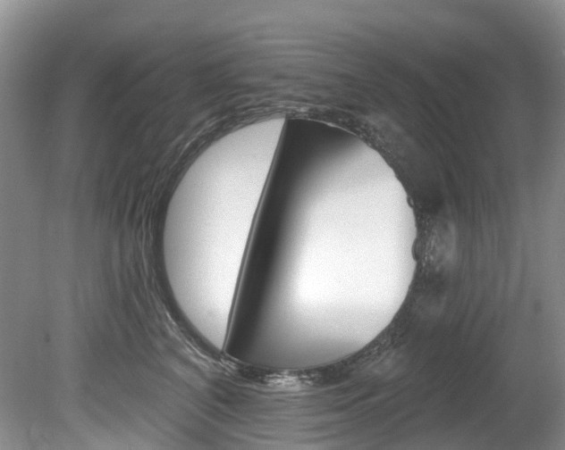 X0000080150616200612081054