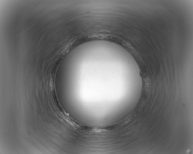 X0000080150617200612081054