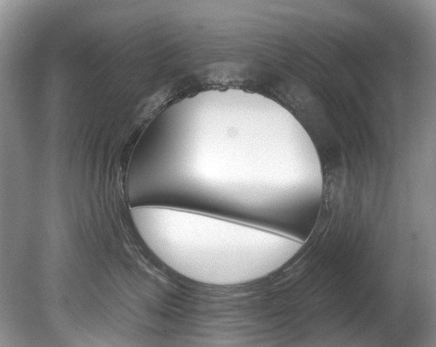 X0000080150623200612081054