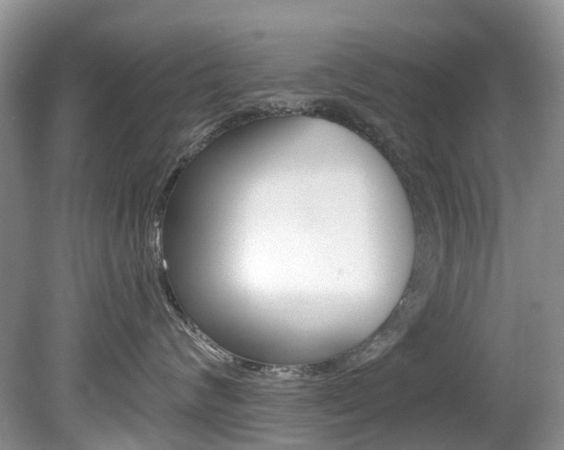 X0000080150624200612081054