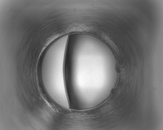 X0000080150626200612081053