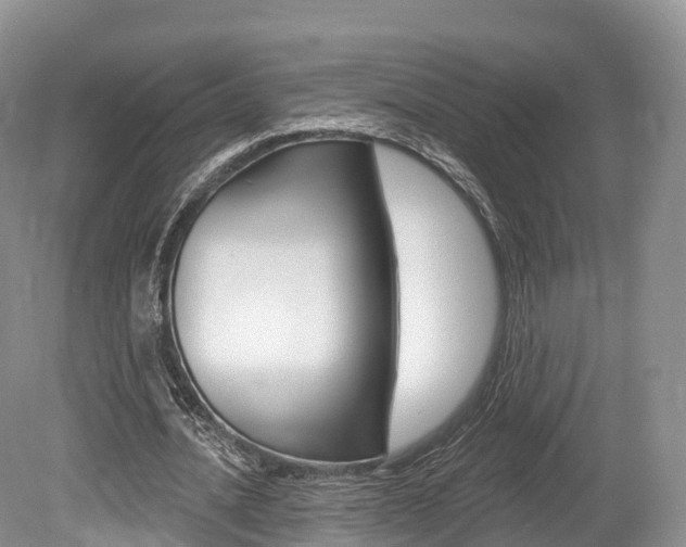 X0000080150628200612081053