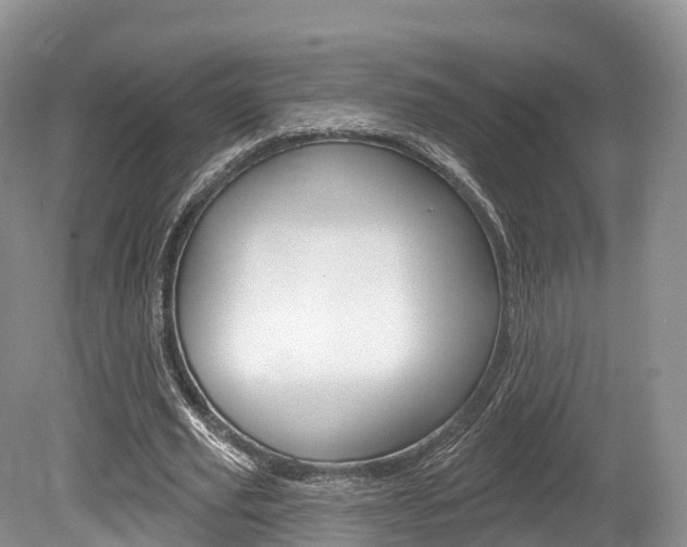 X0000080150629200612081053