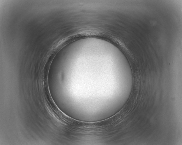 X0000080150631200612081053