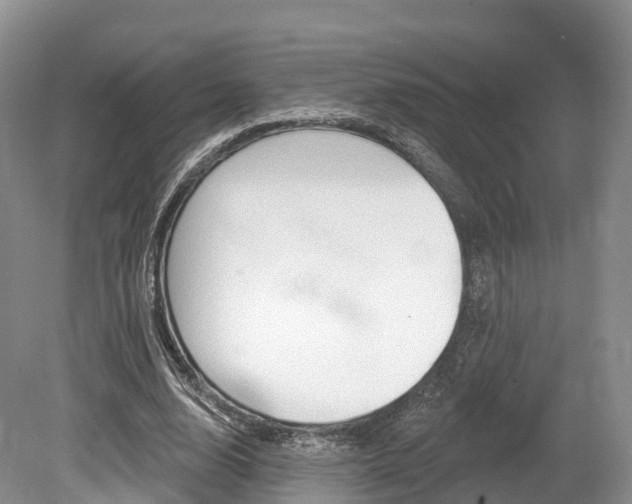 X0000080150632200612081053