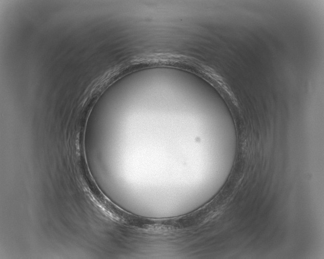 X0000080150633200612081053