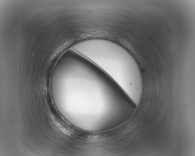 X0000080150634200612081053