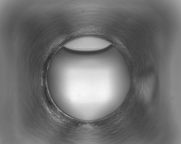 X0000080150635200612081053