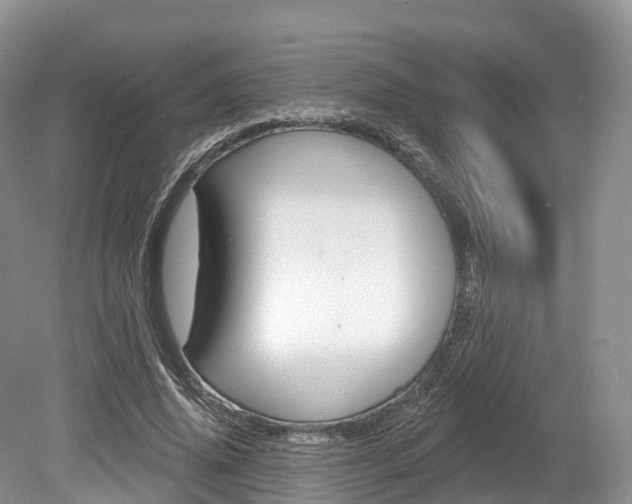 X0000080150636200612081053