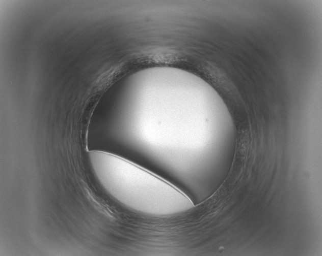 X0000080150639200612081053