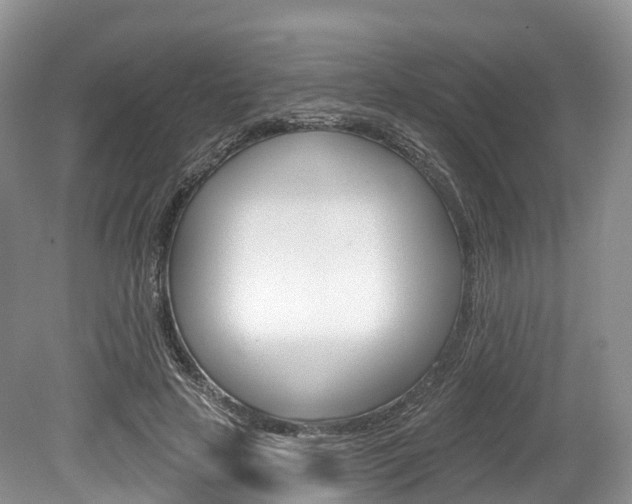 X0000080150641200612081053