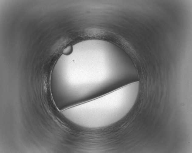 X0000080150644200612081053