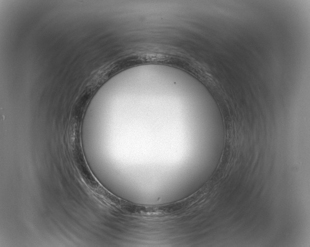 X0000080150645200612081053