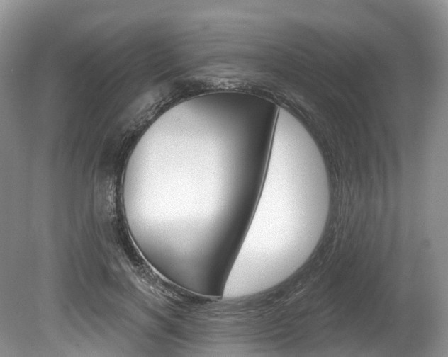 X0000080150646200612081053
