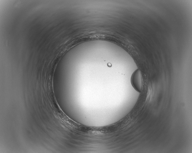 X0000080150649200612081053