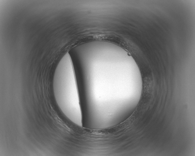 X0000080150650200612081053