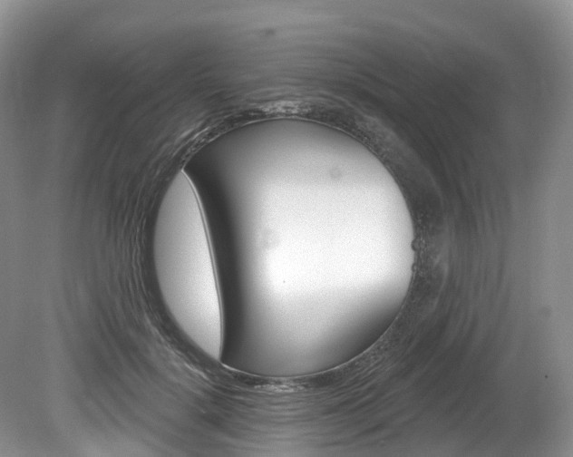 X0000080150652200612081053