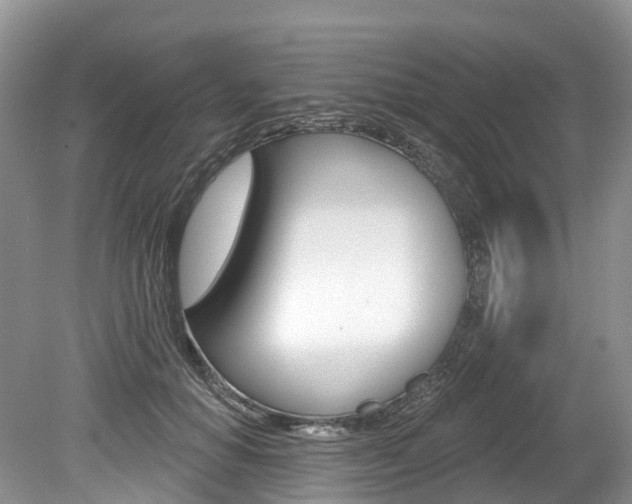 X0000080150654200612081053