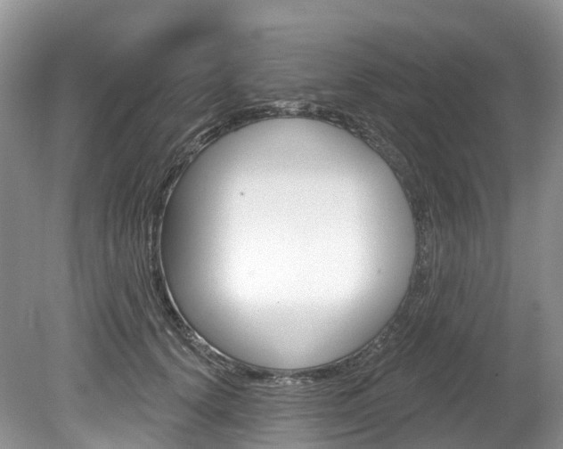 X0000080150656200612081053