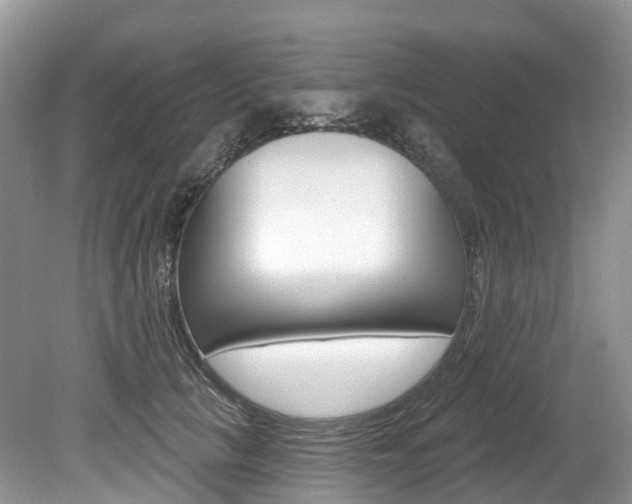 X0000080150657200612081053