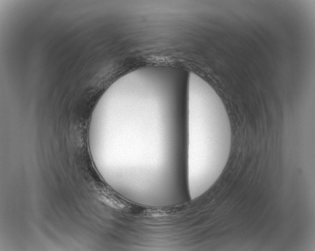 X0000080150658200612081054
