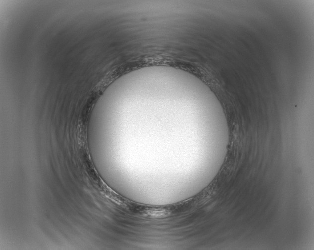X0000080150659200612081054