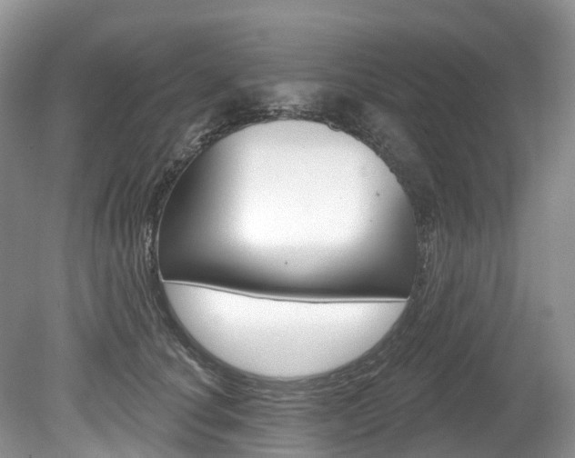 X0000080150660200612081054